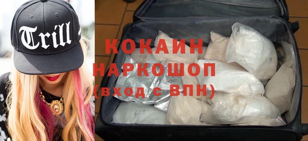 твердый Богданович