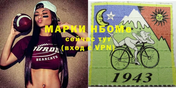 мдпв Богородск