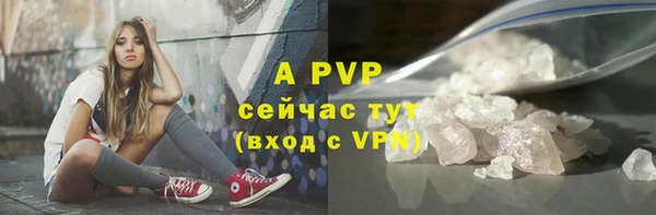 твердый Богданович