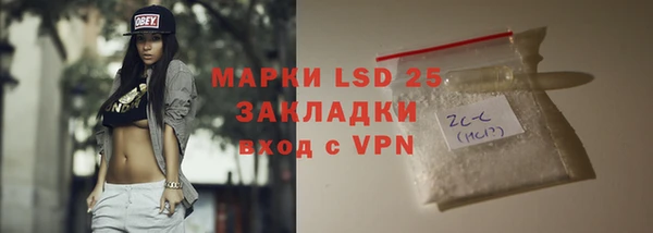 твердый Богданович