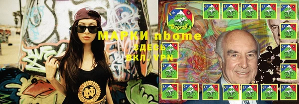 твердый Богданович