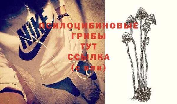 не бодяженный Богородицк