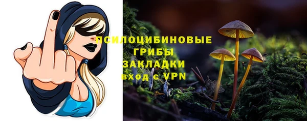 мдпв Богородск